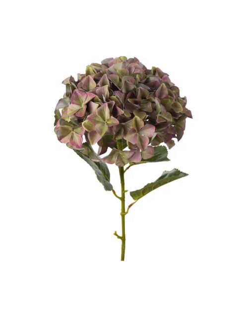 Hortensia Lila 110 cm