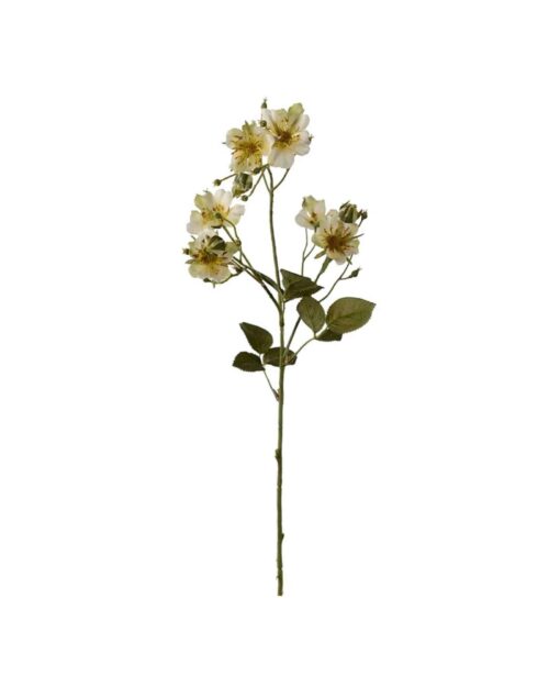 Japansk klätterros grön 65cm