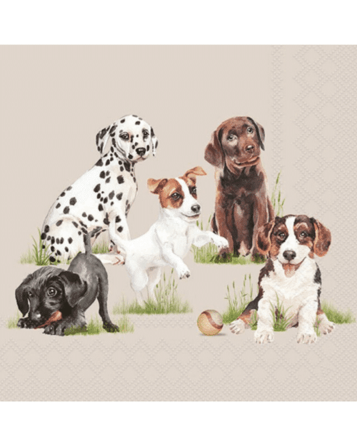 Servetter – Playing Puppies