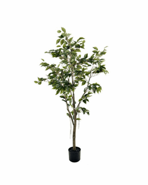Mr Plant Fikus Benjamin 180 cm – Underhållsfri konstväxt med kruka