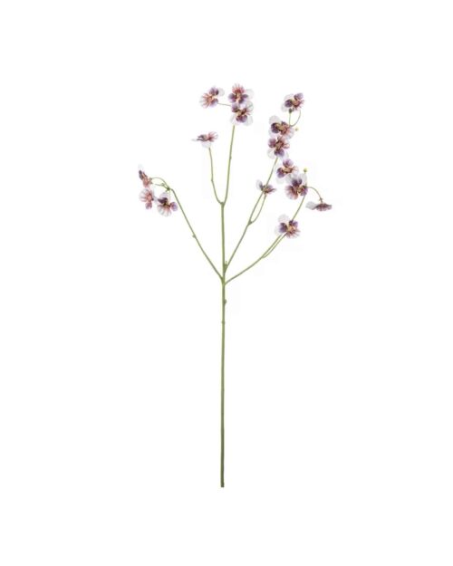 Pensé Lila 63 cm