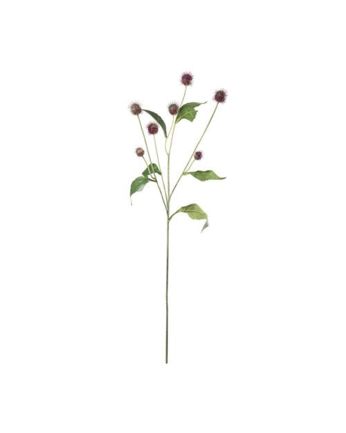 Tistel 58cm