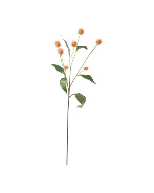 Tistel Rosa 58 cm