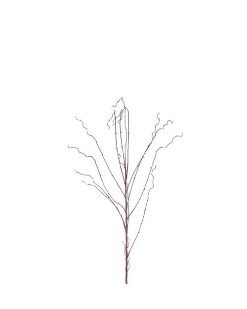 Salix kvist 130 cm Brun – Konstväxt