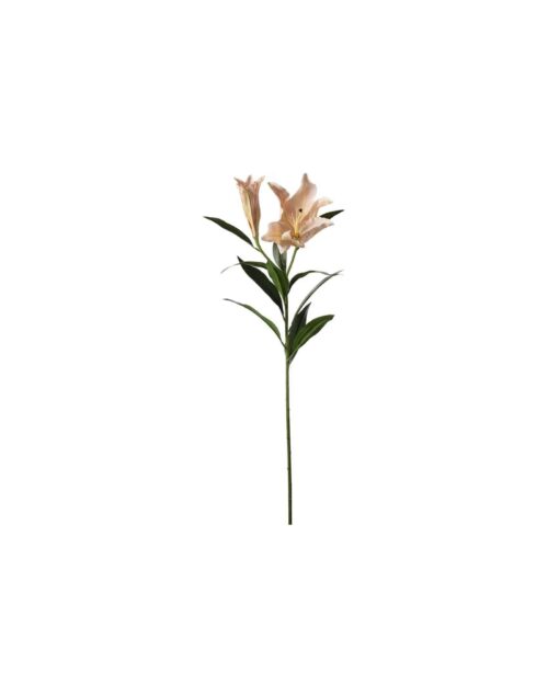 Lilja 100 cm, Rosa