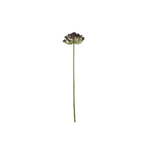 Bärkvist Lila 63cm