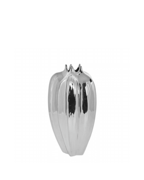 Jielle Vas Silver