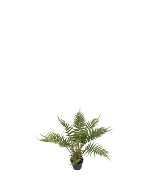 Ormbunke Konstgjord Blomma Grön 50 cm
